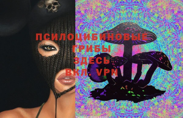 PSILOCYBIN Абдулино