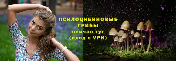 jwh Абинск