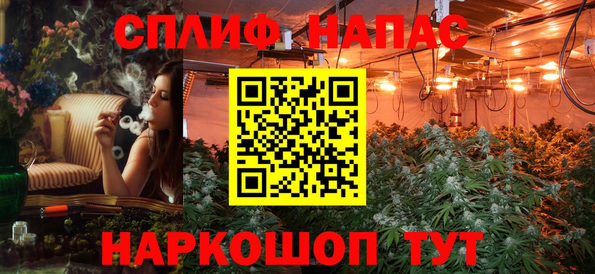 Шишки марихуана план Александров